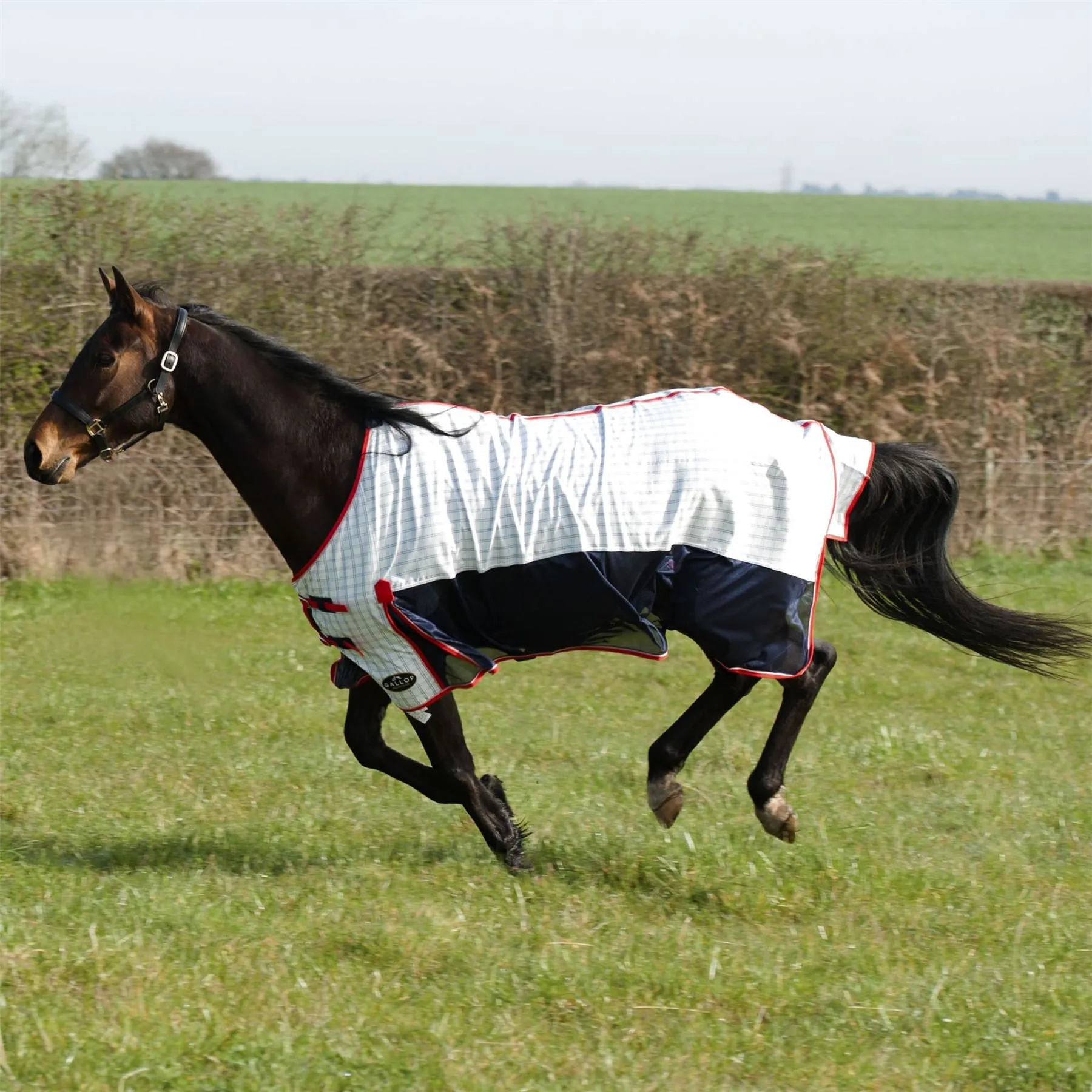 Gallop Equestrian Air Mesh Summer Sheet