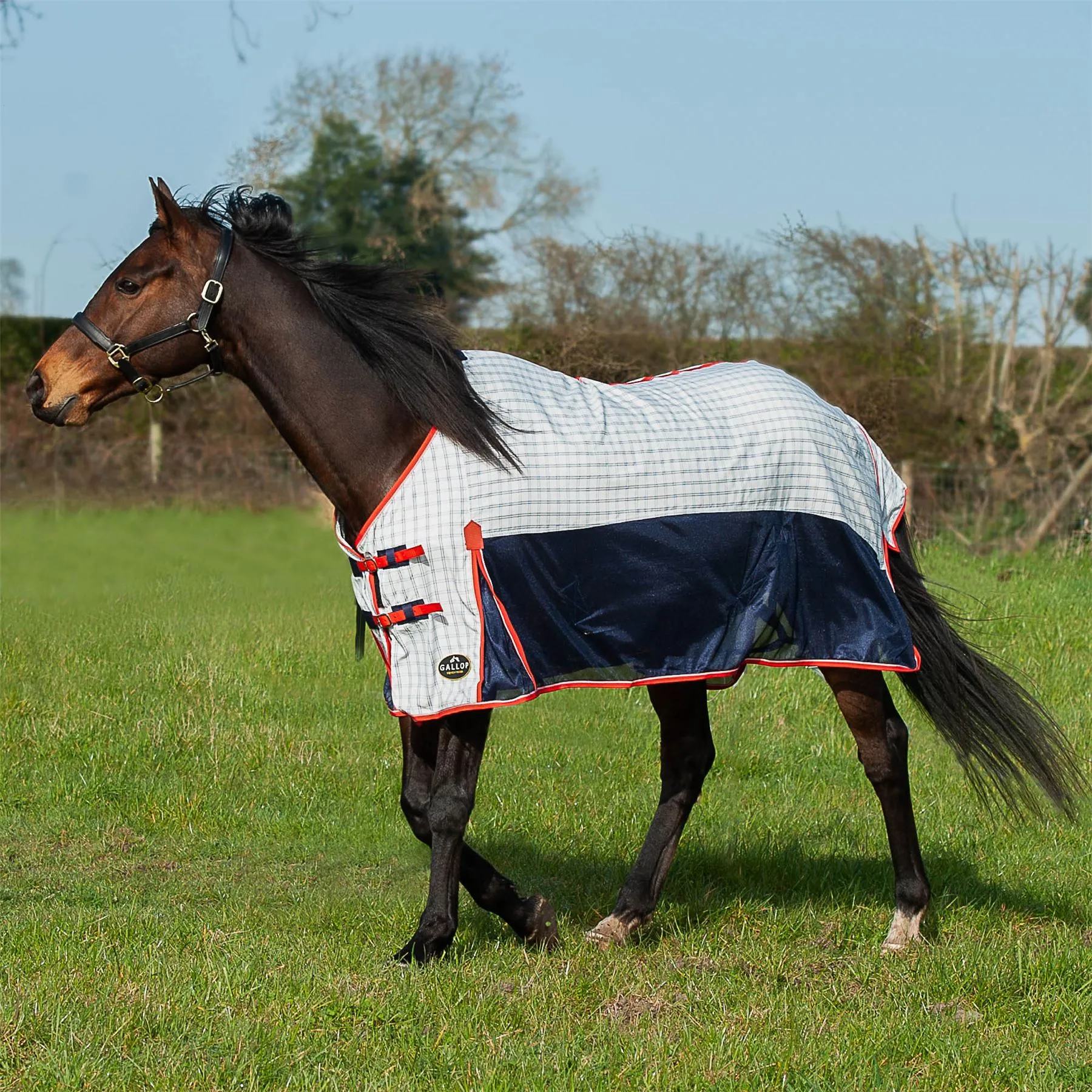 Gallop Equestrian Air Mesh Summer Sheet