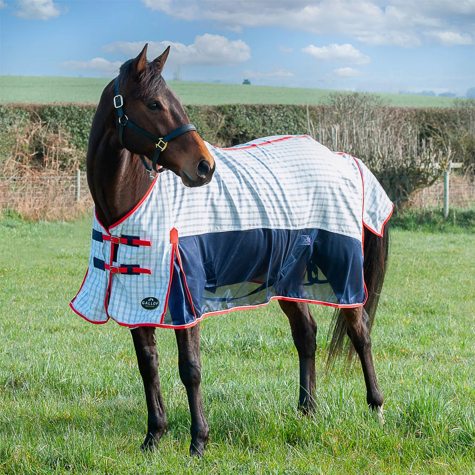Gallop Equestrian Air Mesh Summer Sheet