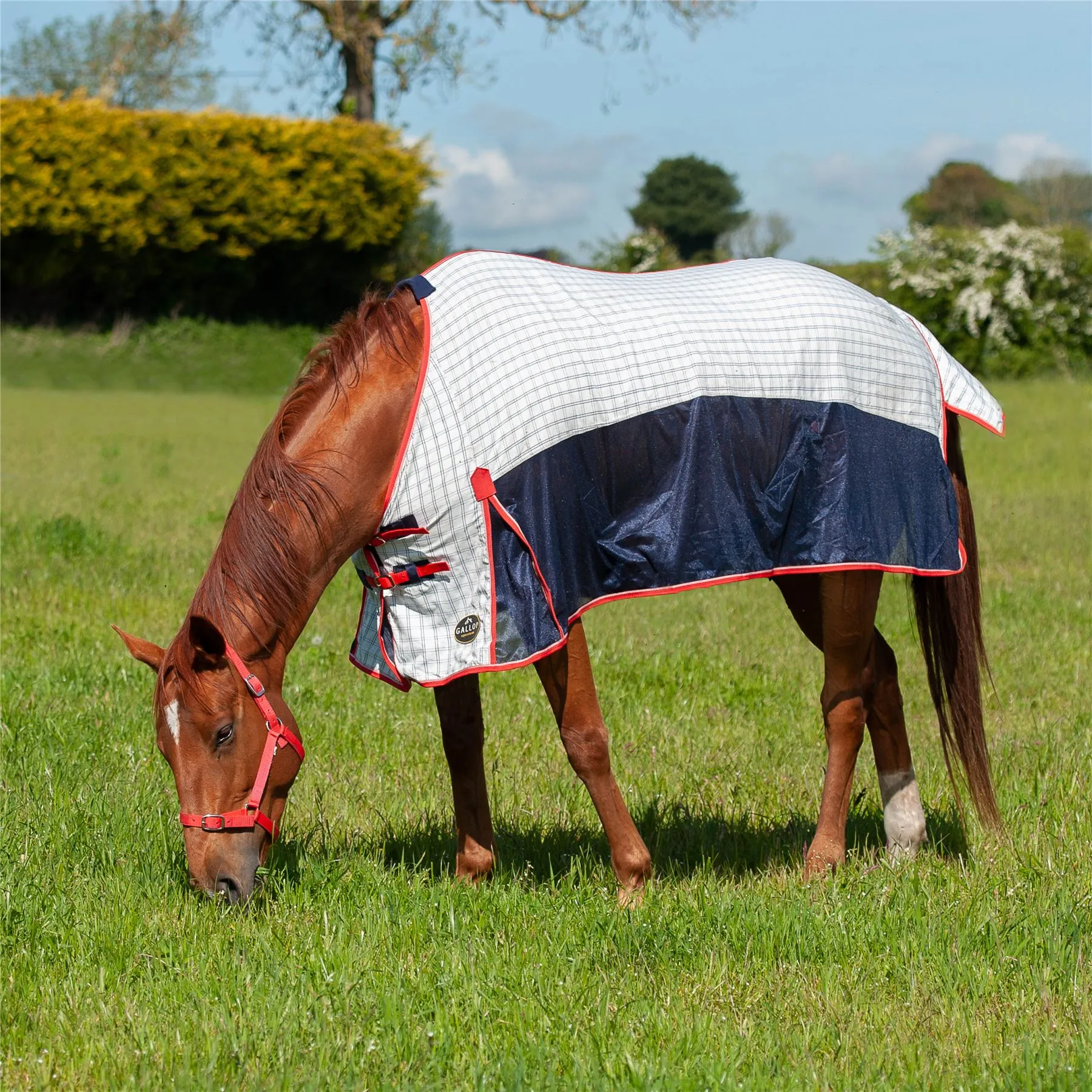 Gallop Equestrian Air Mesh Summer Sheet