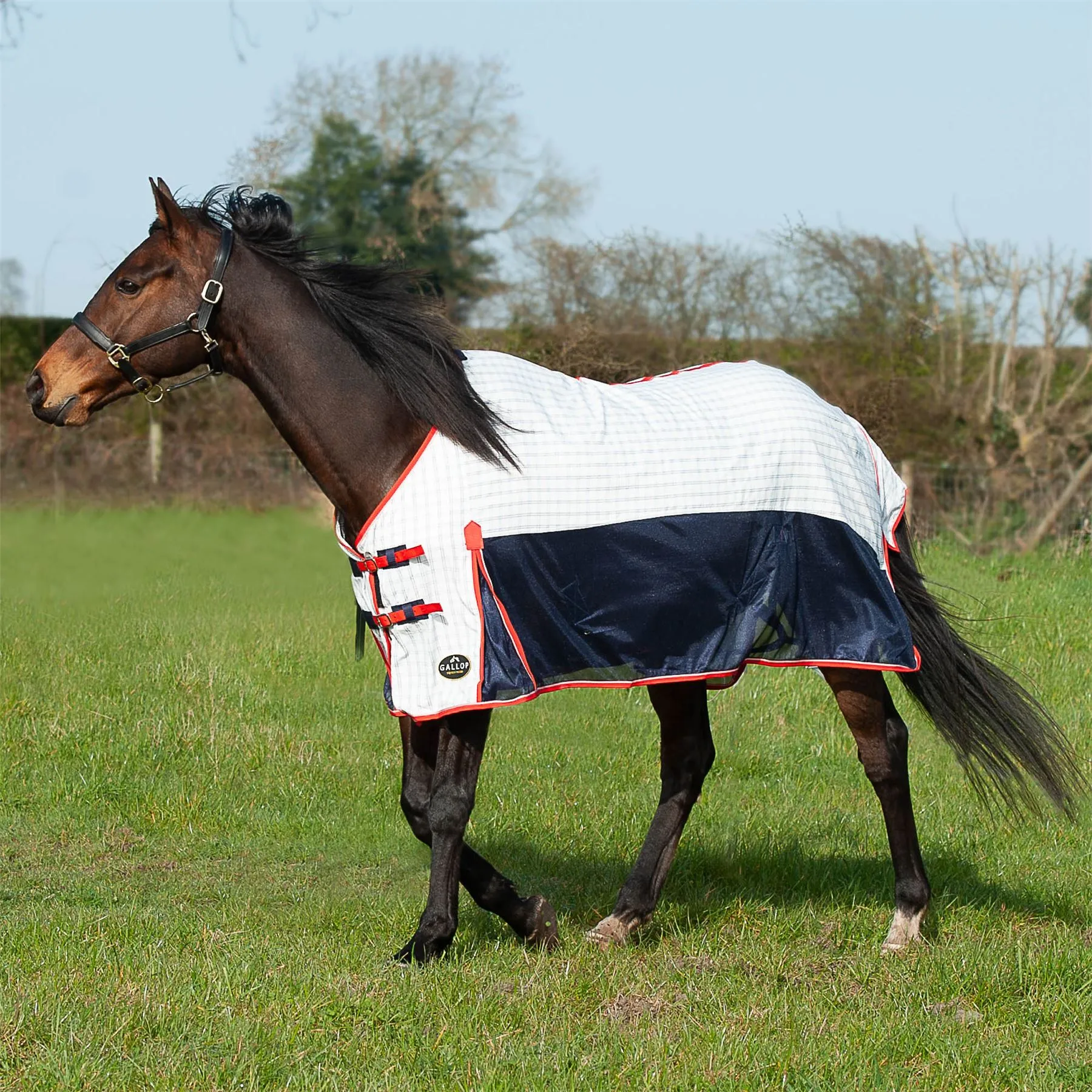 Gallop Equestrian Air Mesh Summer Sheet