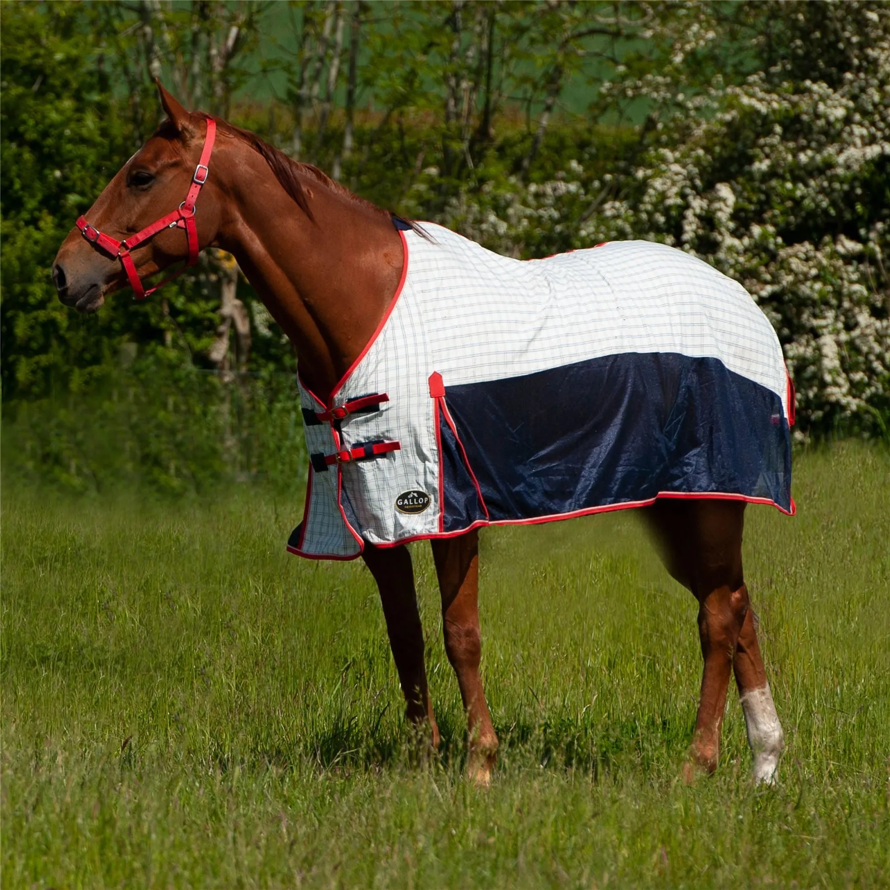 Gallop Equestrian Air Mesh Summer Sheet