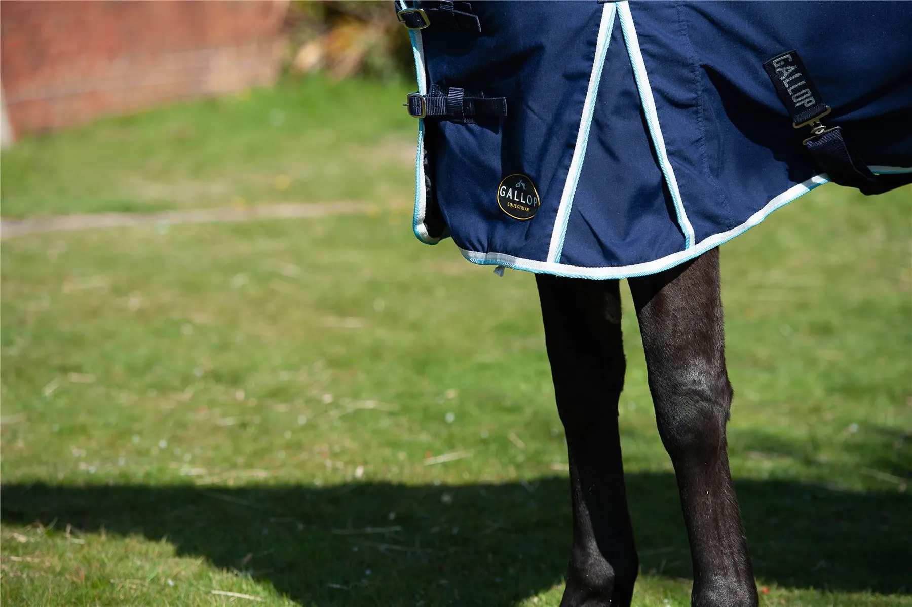 Gallop Equestrian Summer Sheet