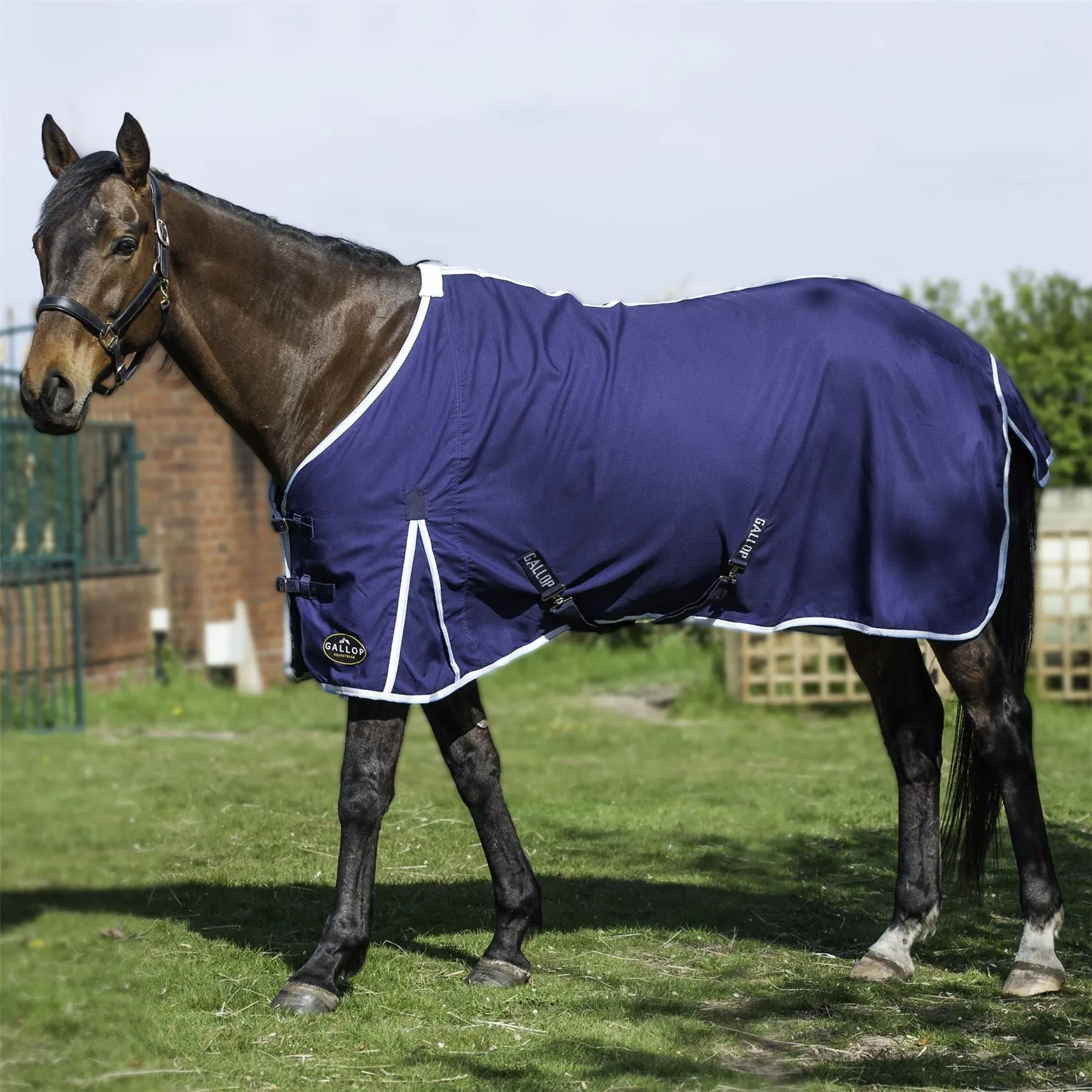 Gallop Equestrian Summer Sheet