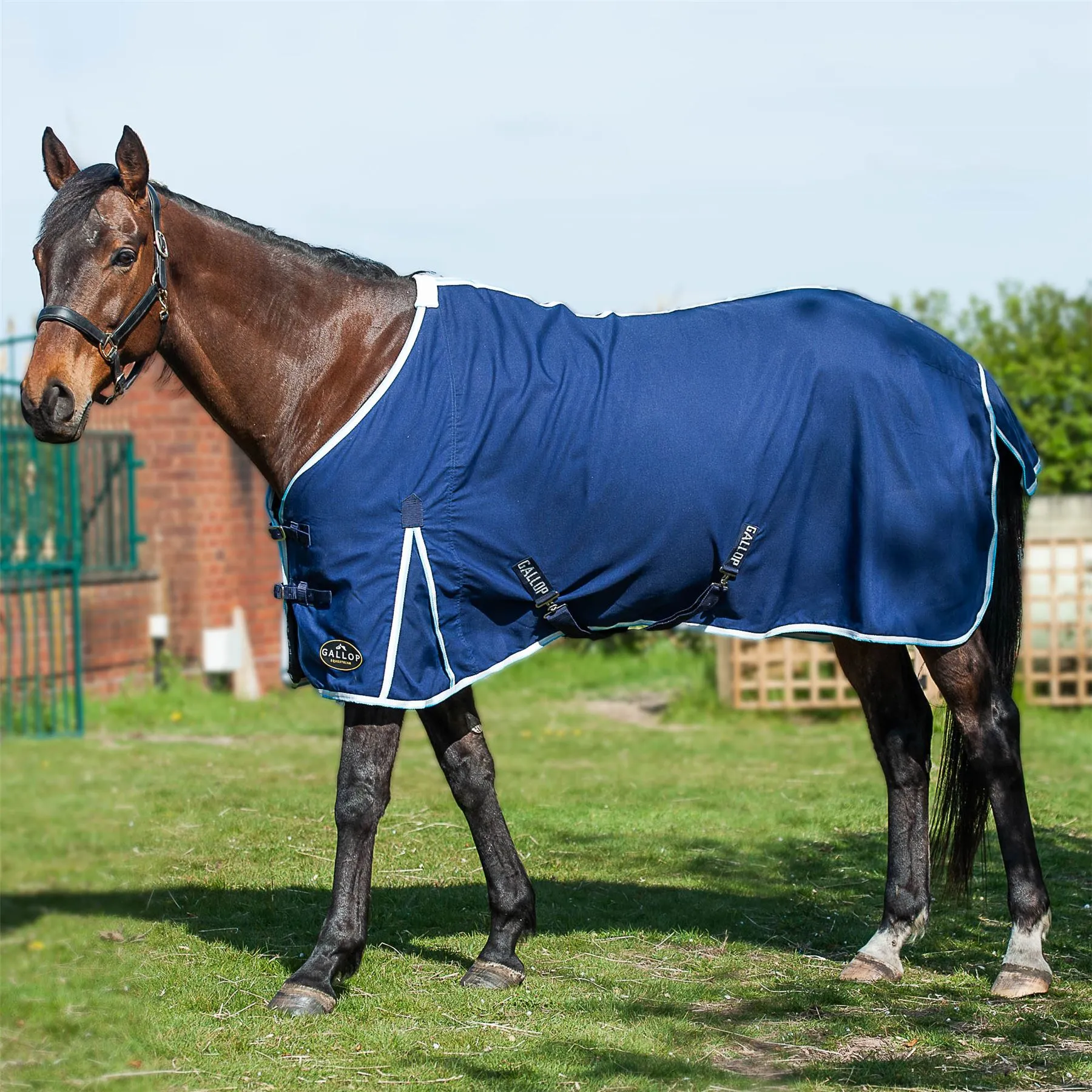 Gallop Equestrian Summer Sheet
