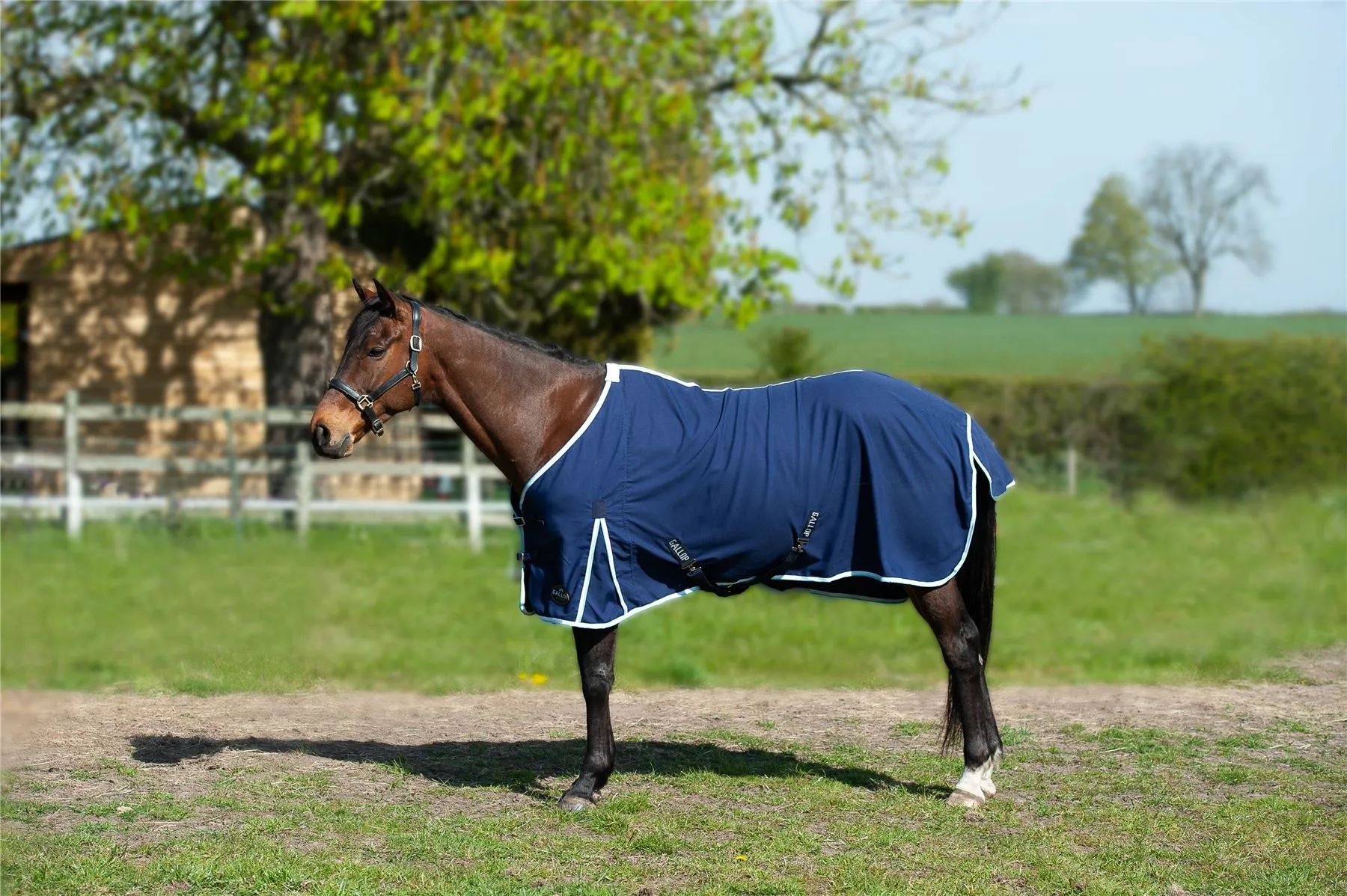 Gallop Equestrian Summer Sheet
