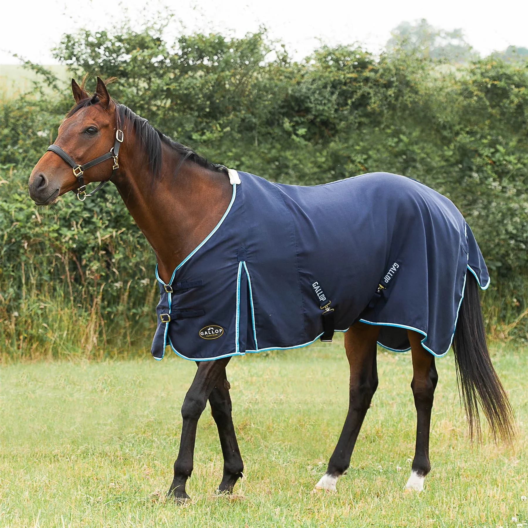 Gallop Equestrian Summer Sheet