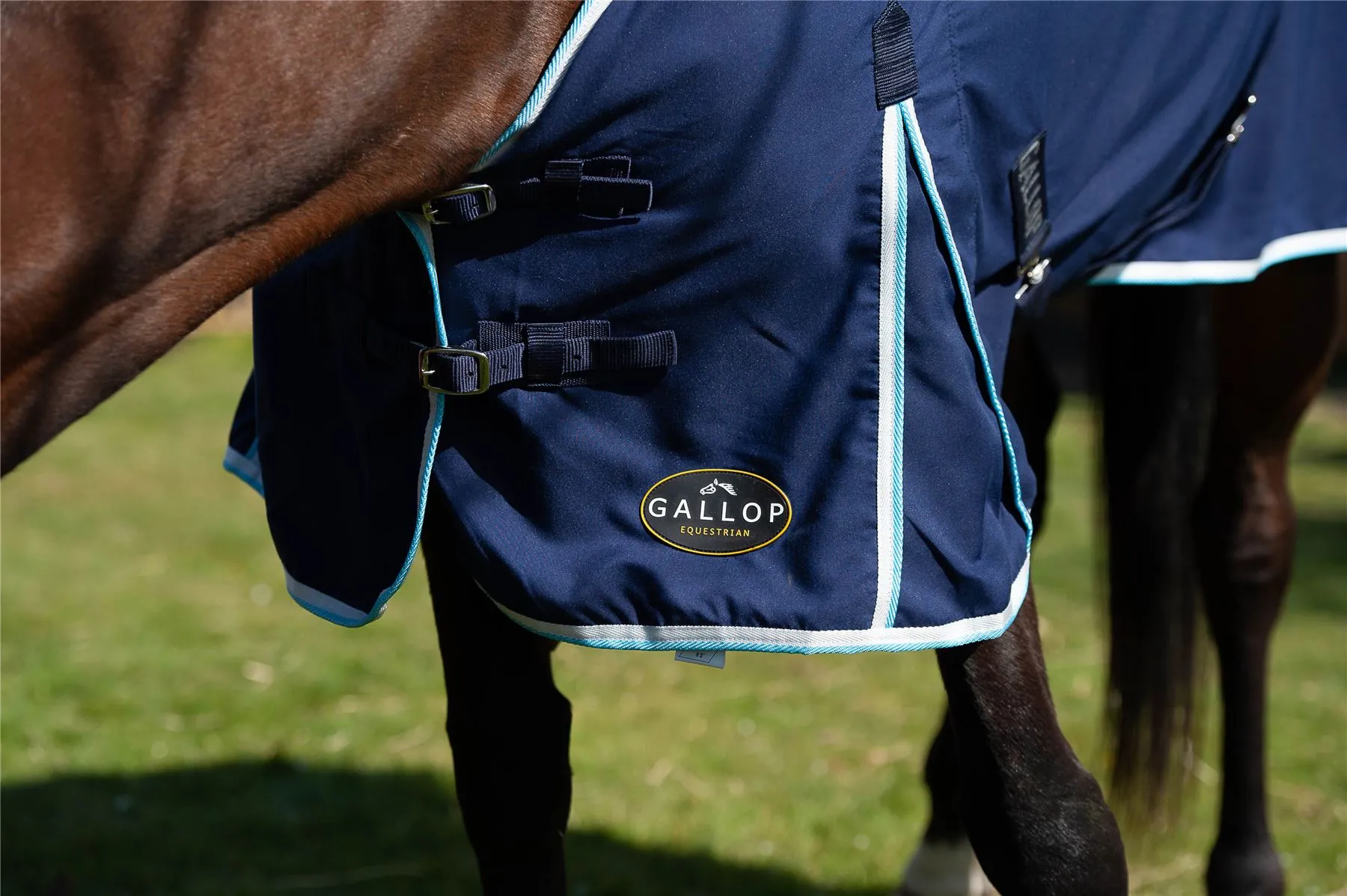 Gallop Equestrian Summer Sheet