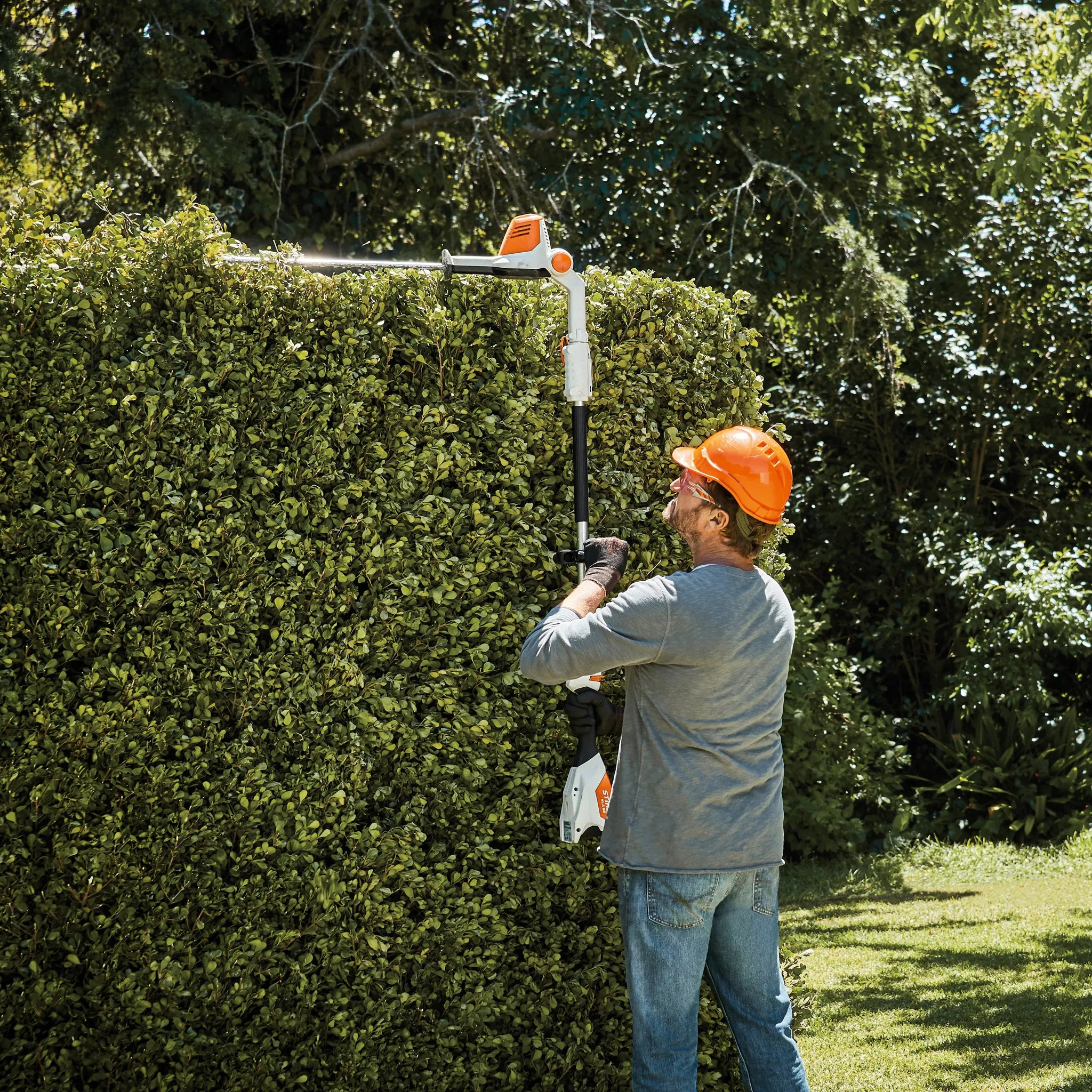 HLA 56 Cordless Long-reach Hedge Trimmer