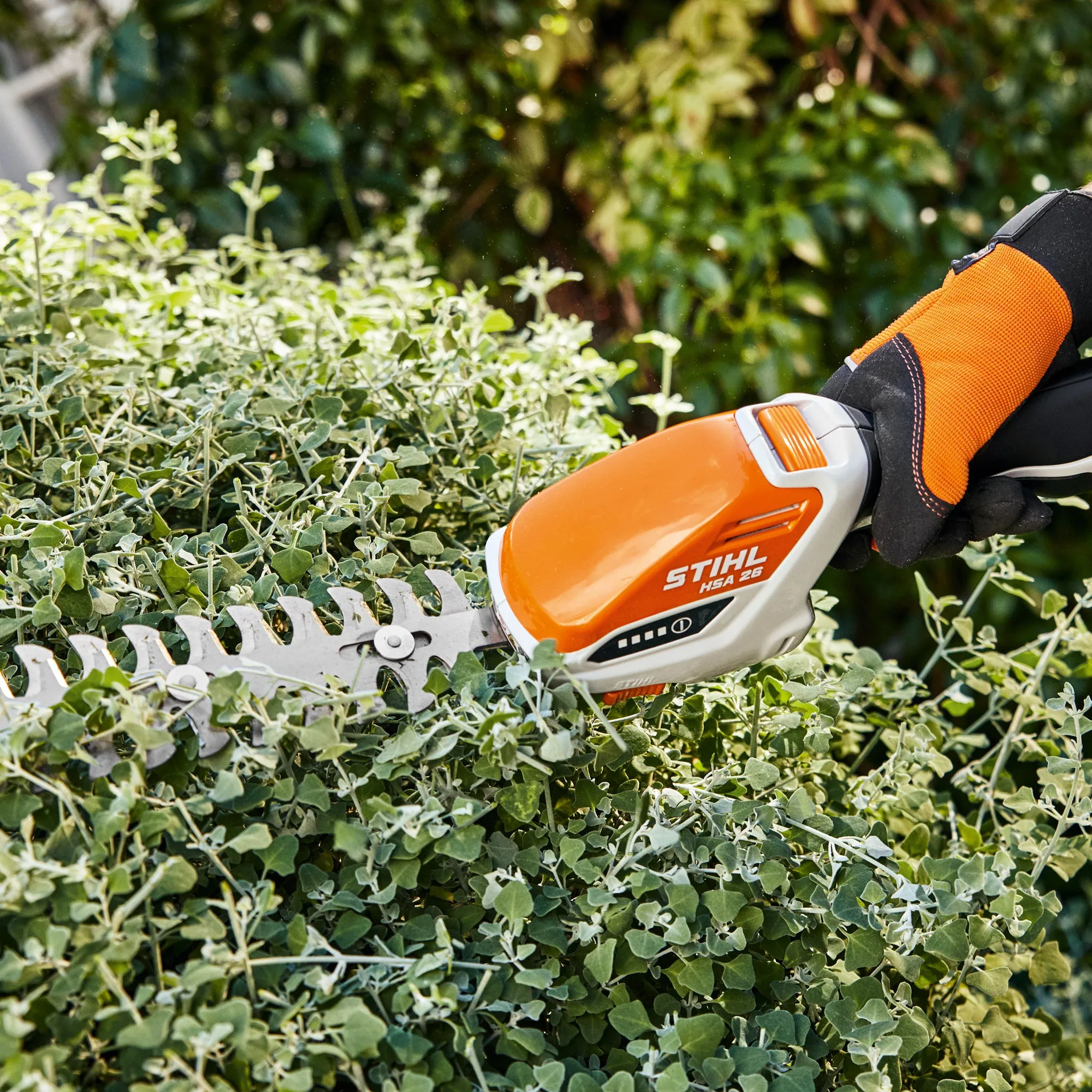 HSA 26 Cordless Shrub/Grass Shears