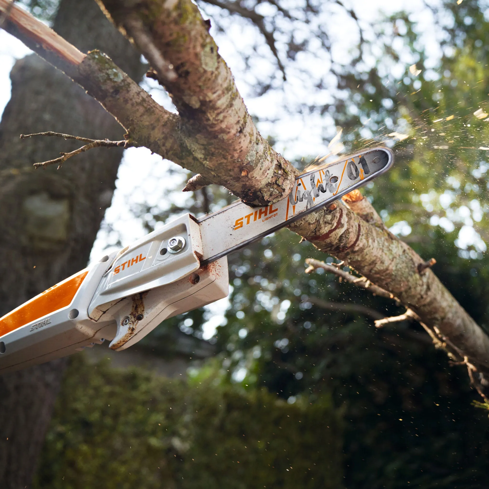 HTA 50 battery-powered pole pruner