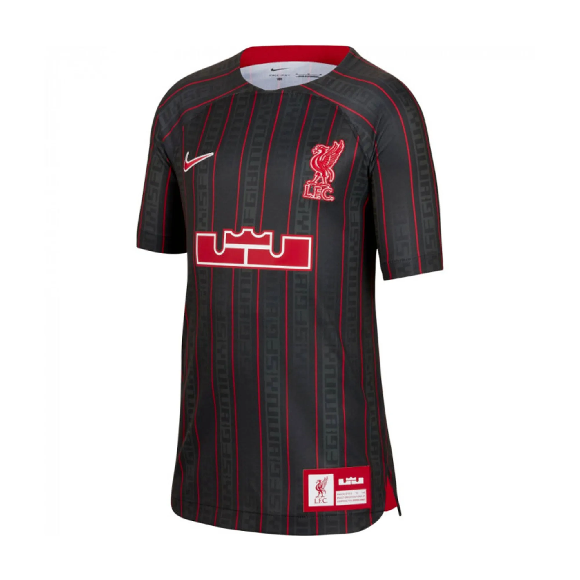 Liverpool FC x LeBron James Youth Stadium Jersey