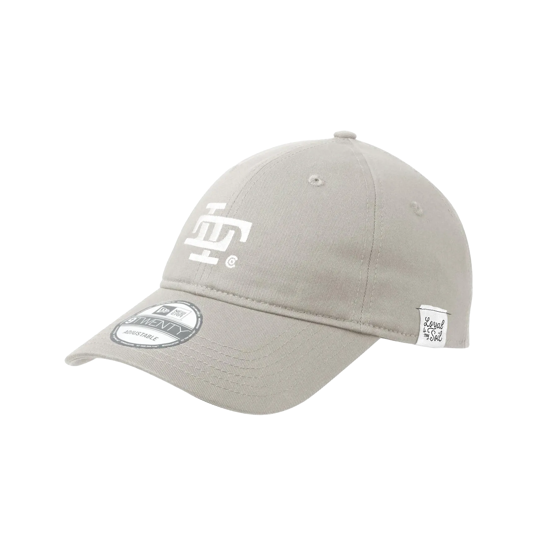 LTC Icon Cap
