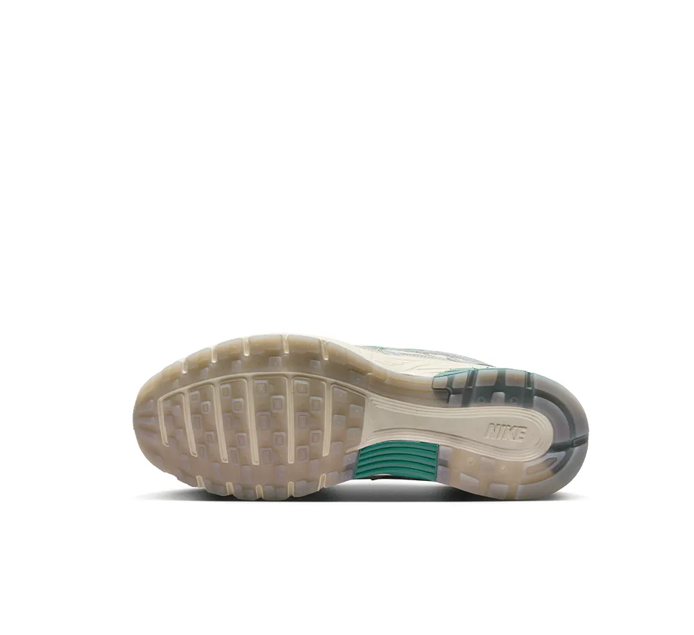 Nike P-6000 Premium