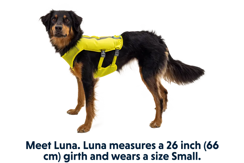 Trail Runner Dog Running Vest