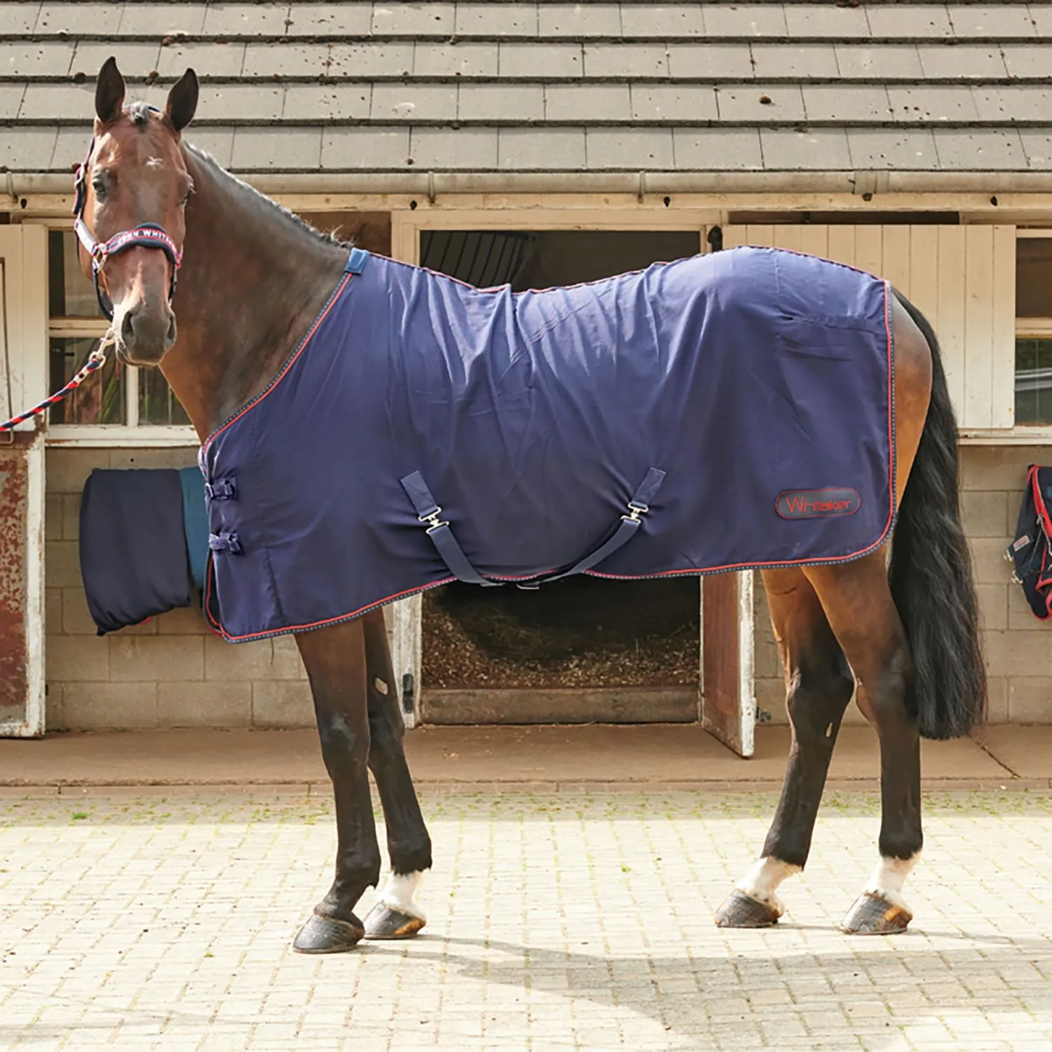 Whitaker Summer Sheet Rastrick