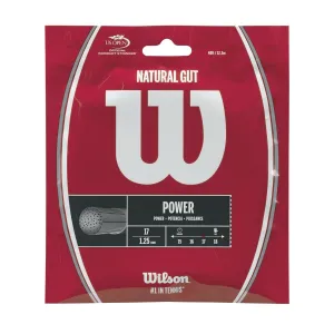 Wilson Natural Gut Power 16 Tennis String Set